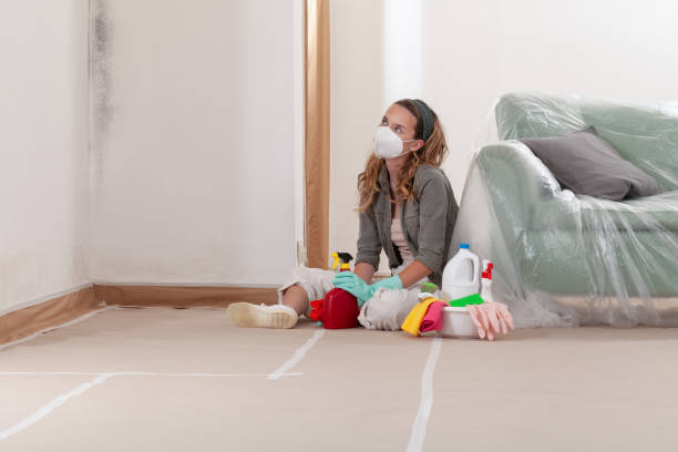 Reliable Crawl Space Mold Removal contractor in Stevens, PA by WQB Mold Removal